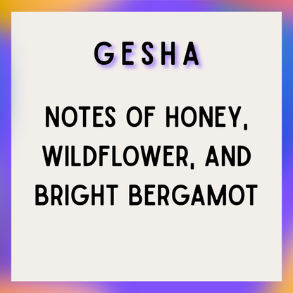 GESHA - HONEY BLISS